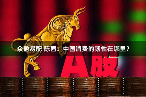 众盈易配 陈茜：中国消费的韧性在哪里？
