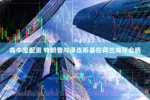 犇牛宝配资 特朗普与泽连斯基在荷兰海牙会晤