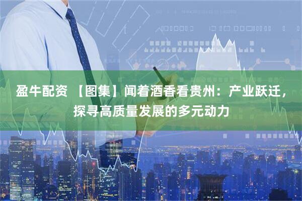 盈牛配资 【图集】闻着酒香看贵州：产业跃迁，探寻高质量发展的多元动力