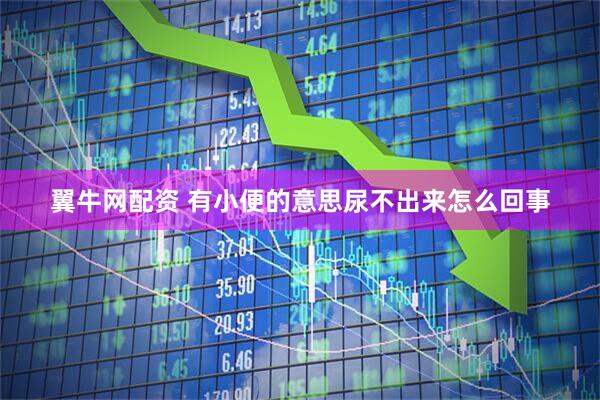 翼牛网配资 有小便的意思尿不出来怎么回事